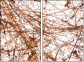 23639472