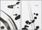 23695176