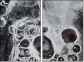 25109455