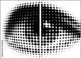 29211462