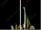 29381007