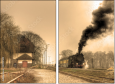 29517510