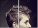 43317658