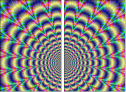 43418541