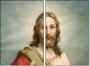 44247495