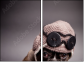 46421983