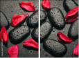 49357610