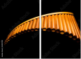 50197019