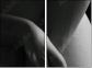 51083503