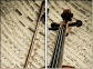 54506799