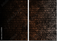 54969981