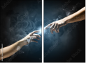 55886651