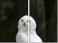 57060206