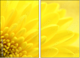 57915870