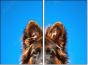 58783058