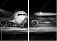 59420364
