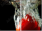 60316396