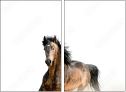62618176