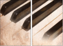 63329825
