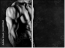 63490164