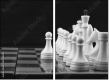 64265045