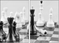 64265081