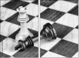 67855650