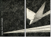 70764881