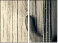 75167527