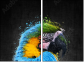 92474854