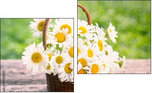 Spring flowers - Daisy flowers in the basket - Obraz dwuczęściowy, Dyptyk
