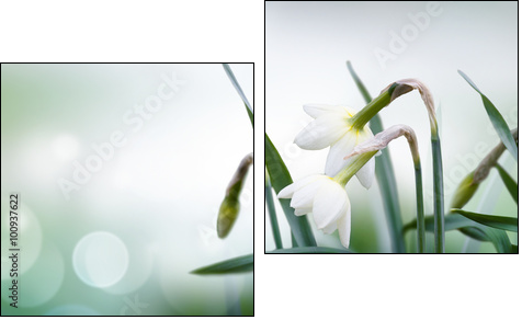 abstract spring background - Obraz dwuczęściowy, Dyptyk