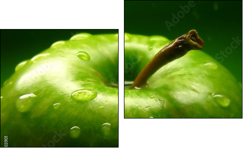 Zielone jabłuszko – aromat natury
 - Obraz dwuczęściowy, Dyptyk