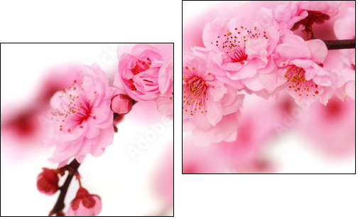 Kwiaty wiśni – Japonia mniej dosłownie
 - Obraz dwuczęściowy, Dyptyk