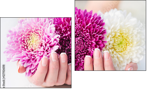Woman cupped hands with beautiful French manicure holding pink and white flowers - Obraz dwuczęściowy, Dyptyk