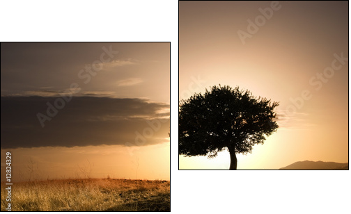 Samotne drzewo i zachód słońca
 - Obraz dwuczęściowy, Dyptyk