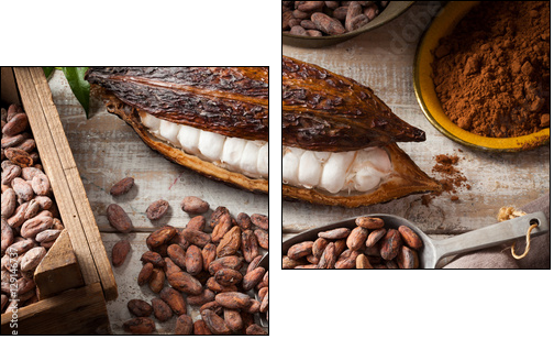 Cocoa beans and pod - Obraz dwuczęściowy, Dyptyk