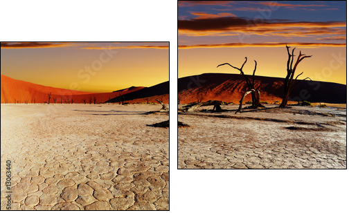Afrykańska susza – gorąca refleksja
 - Obraz dwuczęściowy, Dyptyk
