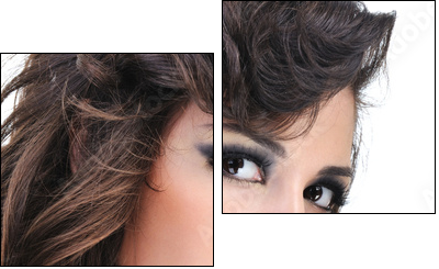 Face of woman with bright  make-up  - Obraz dwuczęściowy, Dyptyk