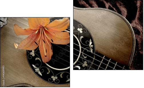 Gitara akustyczna w wersji retro
 - Obraz dwuczęściowy, Dyptyk