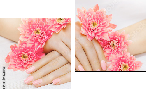 pink manicure with chrysanthemum flowers. spa - Obraz dwuczęściowy, Dyptyk