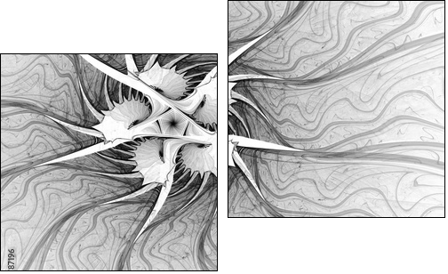 Abstract fractal illustration for creative design - Obraz dwuczęściowy, Dyptyk