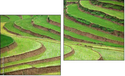 Ogrody świata – zielone tarasy
 - Obraz dwuczęściowy, Dyptyk