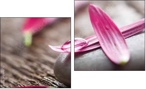 Płatki kwiatów – różowa elegancja
 - Obraz dwuczęściowy, Dyptyk