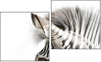 Zebra 001  - Obraz dwuczęściowy, Dyptyk