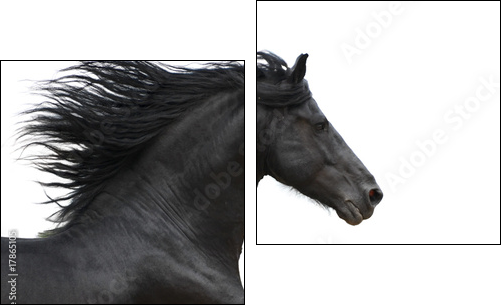 Koń w galopie – inspirująca pogoń za sukcesem
 - Obraz dwuczęściowy, Dyptyk