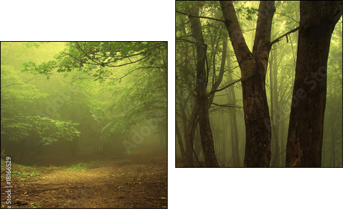 Leśna mgła – poranek w zielonym gaju
 - Obraz dwuczęściowy, Dyptyk