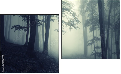 Las za mgłą – tajemnice przyrody
 - Obraz dwuczęściowy, Dyptyk