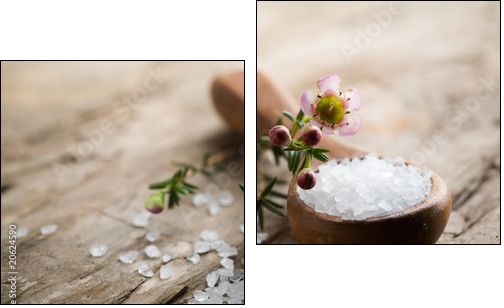 Sól do kąpieli – pocałunek luksusu z morskich głębin
 - Obraz dwuczęściowy, Dyptyk