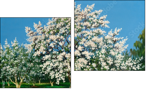 Blossoming spring garden  - Obraz dwuczęściowy, Dyptyk